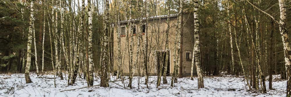 Verlassenes Haus im Birkenwald