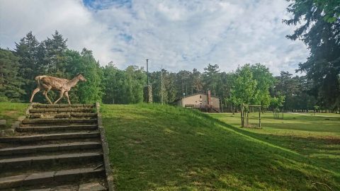 Wildpark Johannismühle