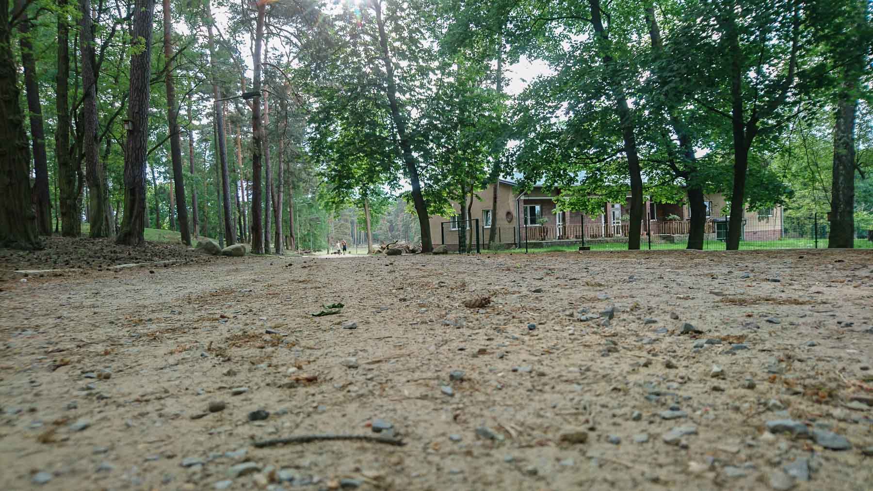 Wildpark Johannismühle Baruth