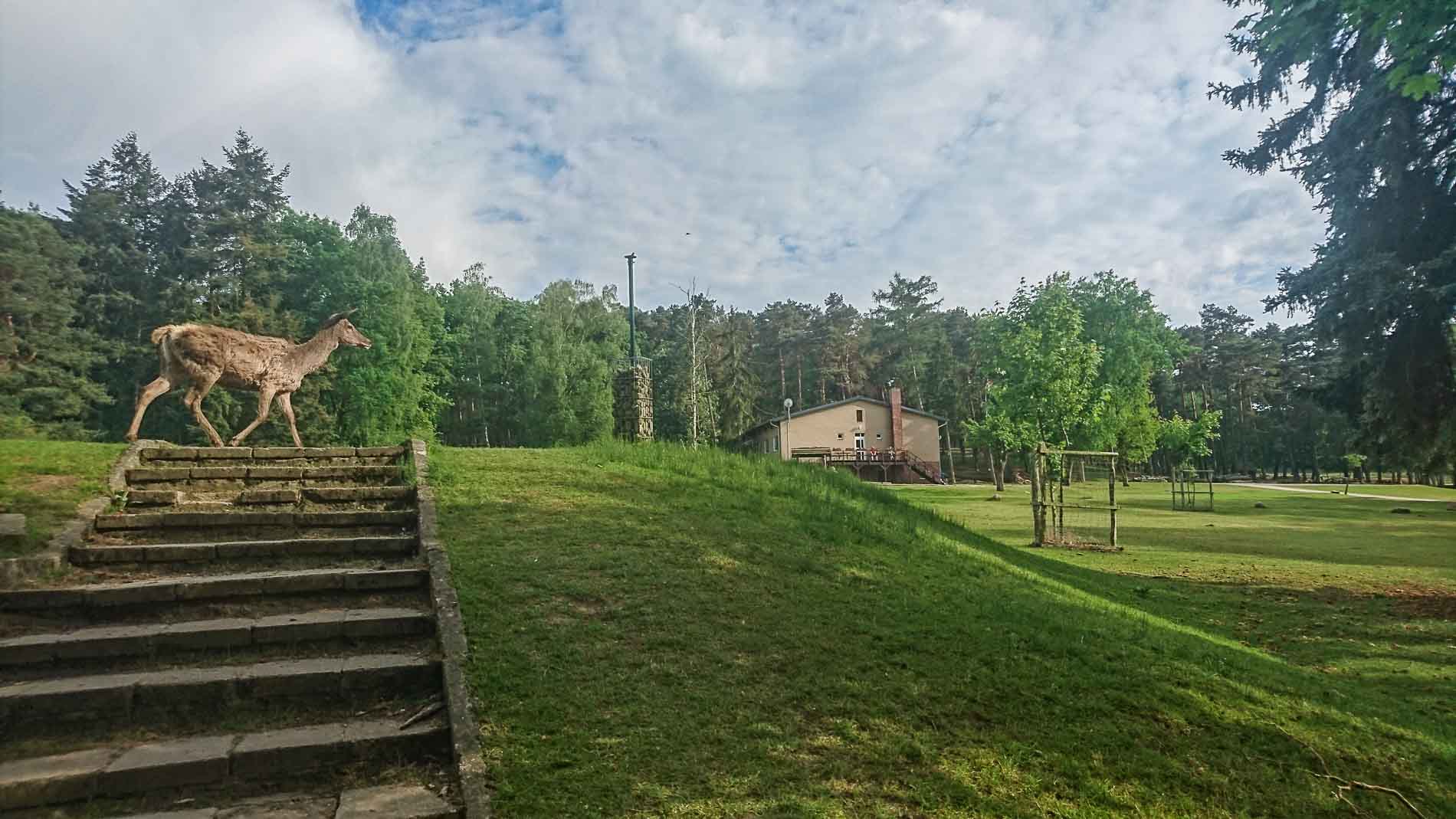 Wildpark Johannismühle