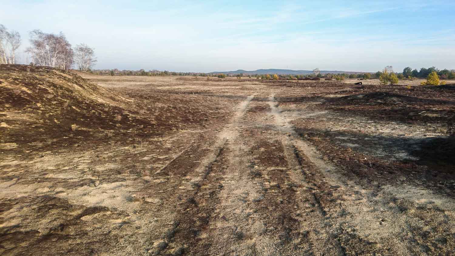 Steppe Brandenburg