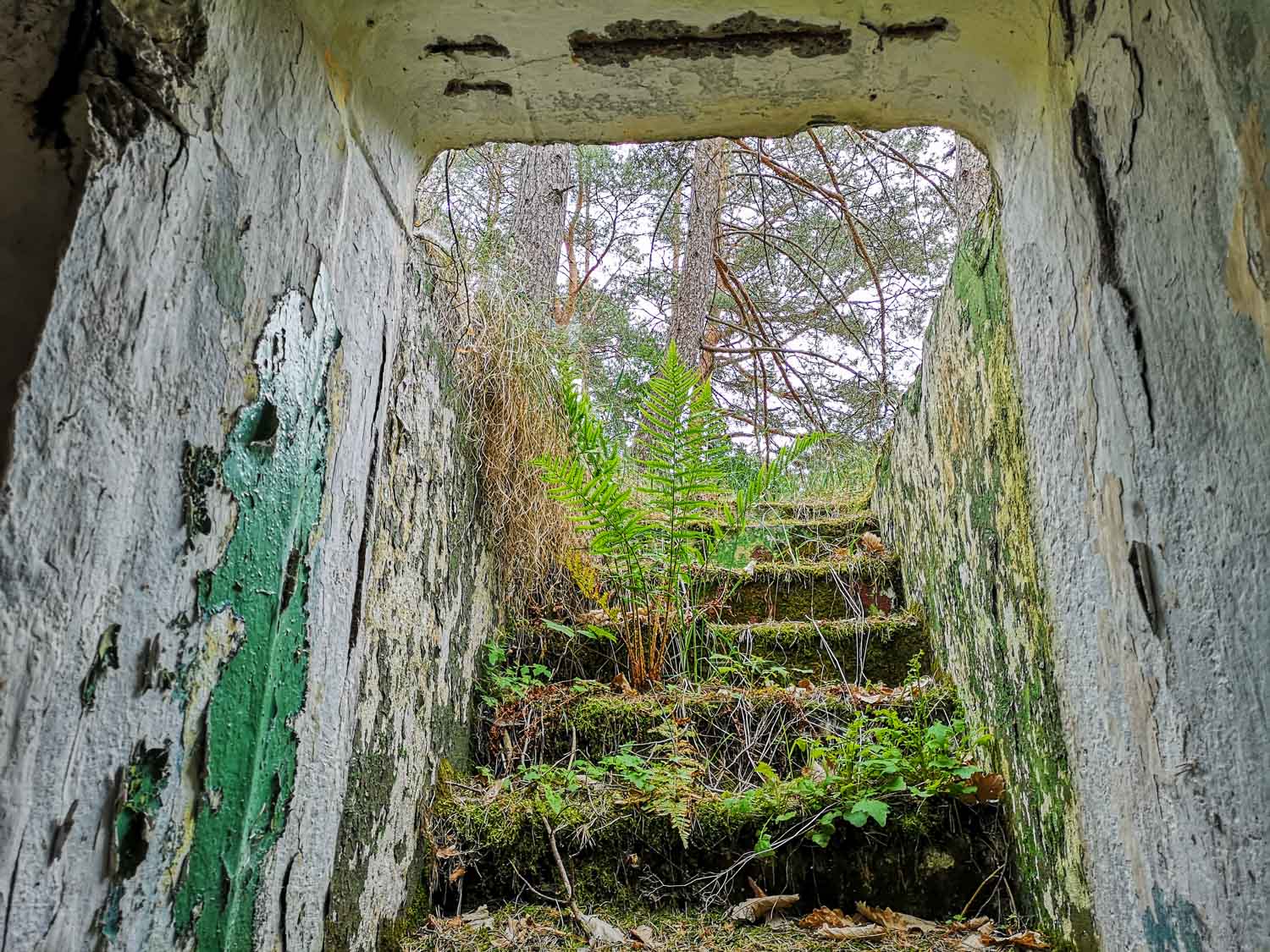 sowjetischer bunkerzugang brandenburg lost places
