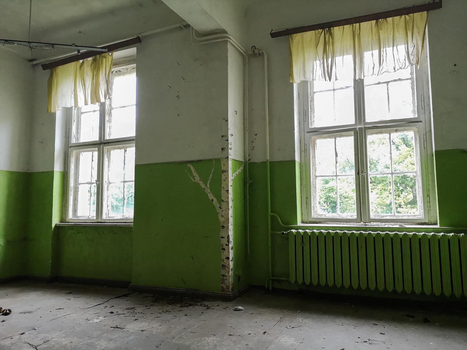 Birken Graffiti Lost Places Schule