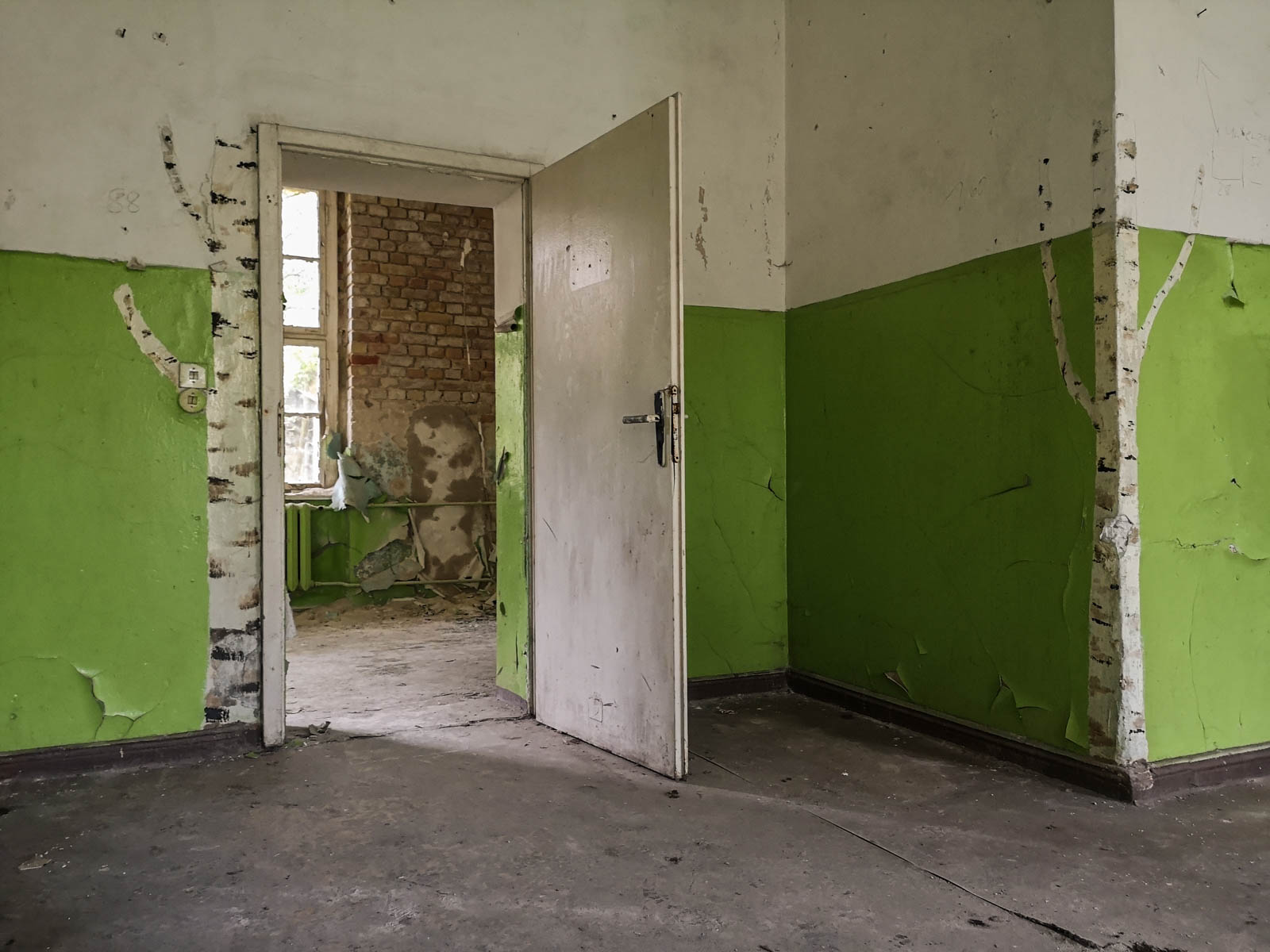 Birken Graffiti verlassene sowjetische Schule